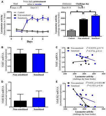 Cocaine-Evoked Locomotor Activity Negatively Correlates With the Expression of Neuromedin U Receptor 2 in the Nucleus Accumbens
